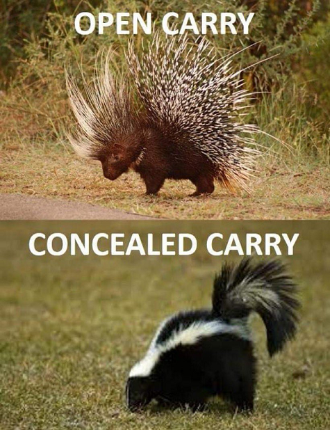 compare and contrast - open vs. closed carry.png